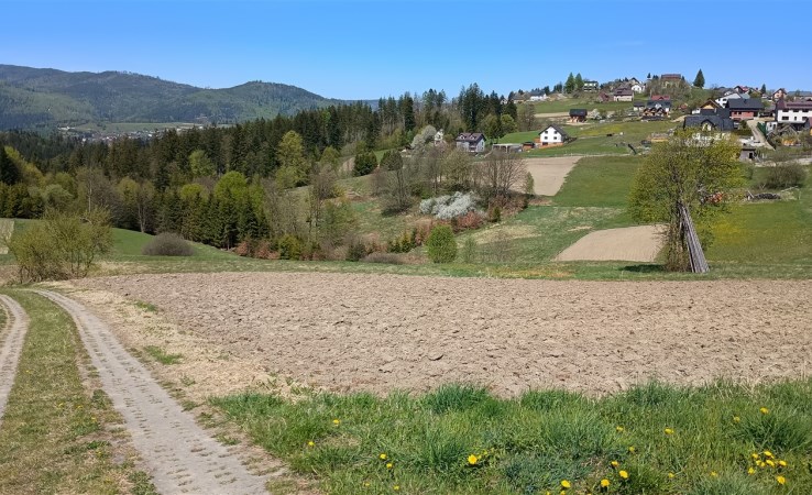 parcel for sale - Istebna, Jaworzynka